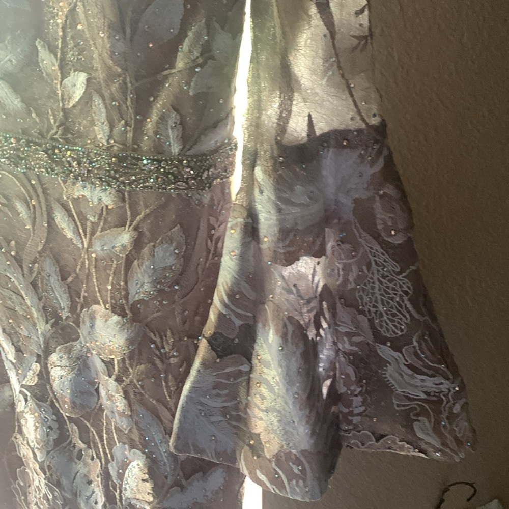 Special occasion Terani couture dress - Picture 3 of 5